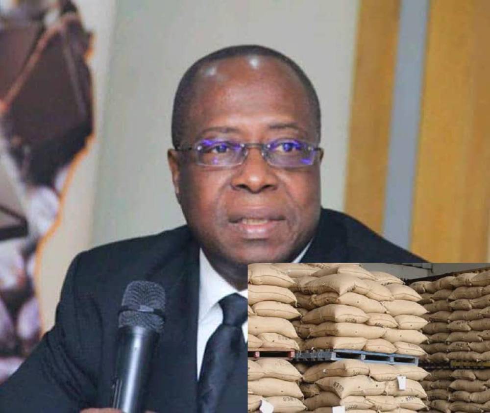 MEVENTE DU CACAO : UNE OPERATION D’ACHAT DE STOCKS QUI REVELE LES FAILLES DE LA GESTION DE LA FILIERE