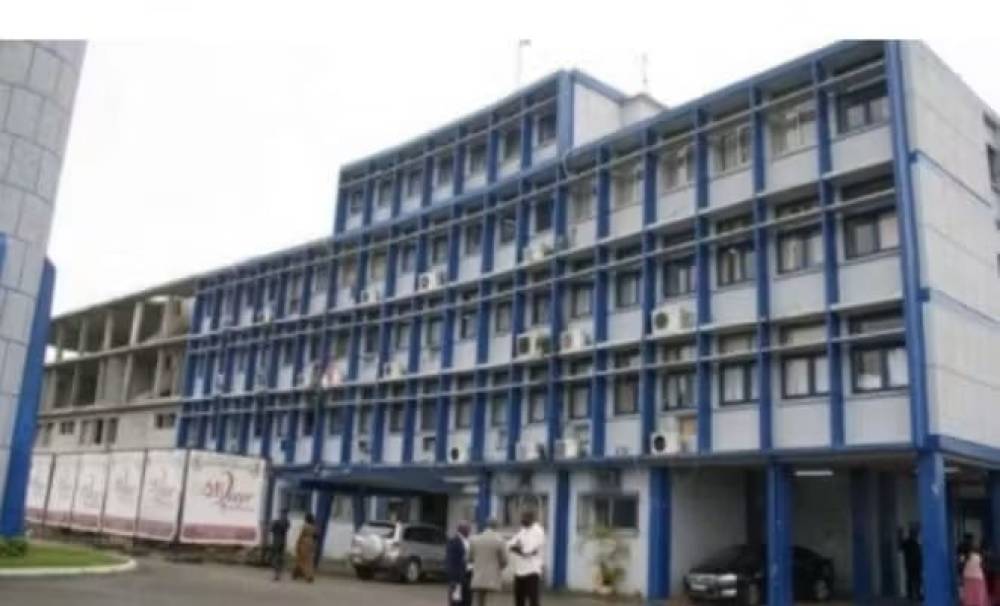 CÔTE D'IVOIRE - LES ENTREPRISES PUBLIQUES FACE À LA CONCURRENCE : LE CAS DE LA RTI ET DE LA SOTRA